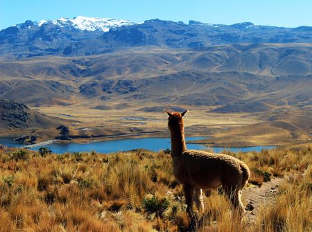Explorations du Pérou & extension Nazca 17J/15N – 2024