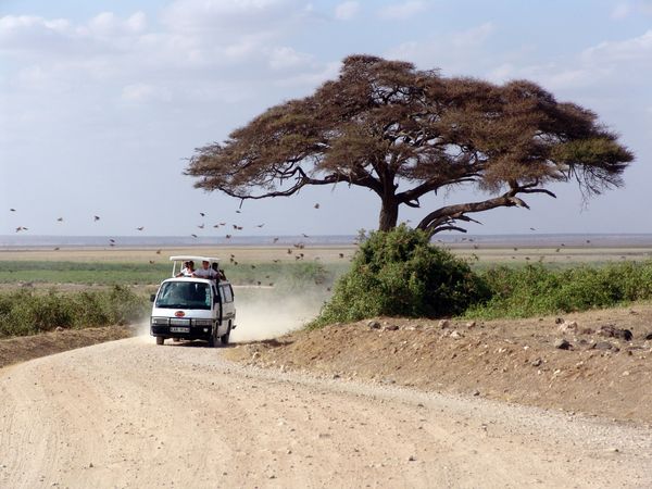 Merveilles du Kenya Safari en véhicule 4X4 & extension Plage de Mombasa 12J/9N – 2024