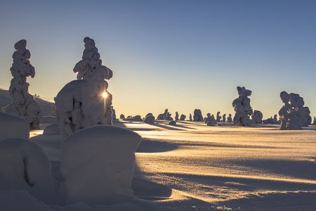 Splendeurs de la Laponie Finlandaise 08J/07N – 2025