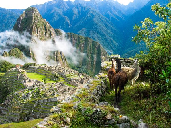 Immersion au Pérou - Spécial Fête « Inti Raymi » & Extension Amazonie 18J/16N - 2025