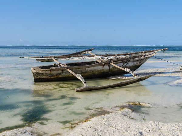 Immersion en Tanzanie & extension Zanzibar 15J/12N – 2024