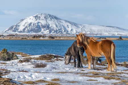 Splendeurs de L’Islande en Hiver – 6J/5N – 2024/2025