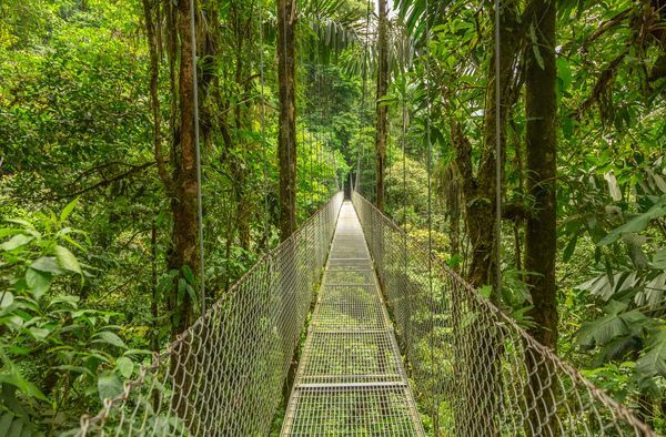 Explorations au Costa Rica & Extension Parc National de Tortuguero 15J/13N – 2025