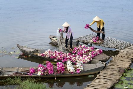 Splendeurs du Vietnam & extension Cambodge 15J/12N – 2025