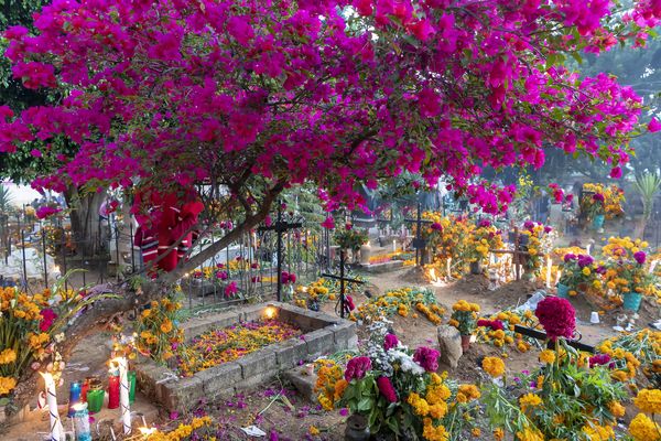 Splendeurs du Mexique – Spécial Fête des Morts 13J/10N – 2025