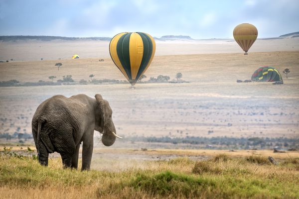 Merveilles du Kenya Mara Safari en véhicule 4X4 & extension Plage de Diani 12J/9N – 2025