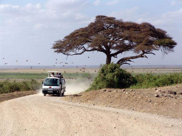 Merveilles du Kenya Mara Safari en véhicule 4X4 & extension Plage de Diani 12J/9N – 2025