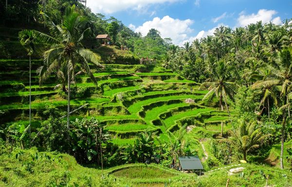 Immersion à Bali variante Tanjung Benoa 12J/09N – 2025