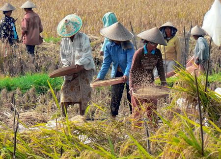 Immersion à Bali variante Tanjung Benoa 12J/09N – 2025