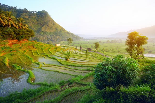 Immersion à Bali variante Tanjung Benoa 12J/09N – 2025