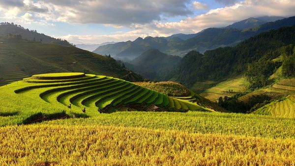 Merveilles du Vietnam & Cambodge & Pré-Voyage Sapa – 18J/15N – 2025