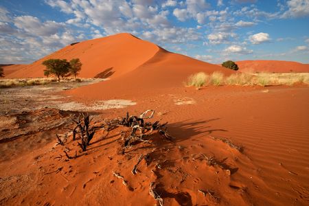 Splendeurs de Namibie & extension Fish River Canyon 14J/11N – 2025