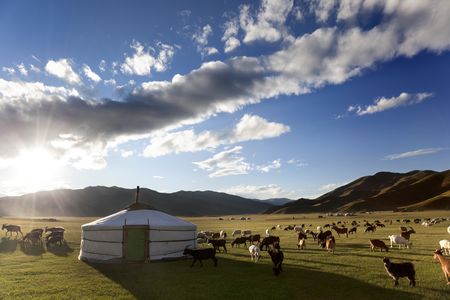 Immersion en Mongolie – Festival du Feutre et Yak – 10J/7N – 2025