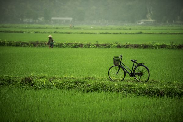 Merveilles du Vietnam & Extension balnéaire Mui Ne 3* – 18J/15N – 2025