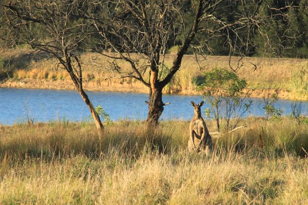 Splendeurs d’Australie 14J/10N – 2025