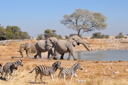 Splendeurs de Namibie 11J/08N  – 2024