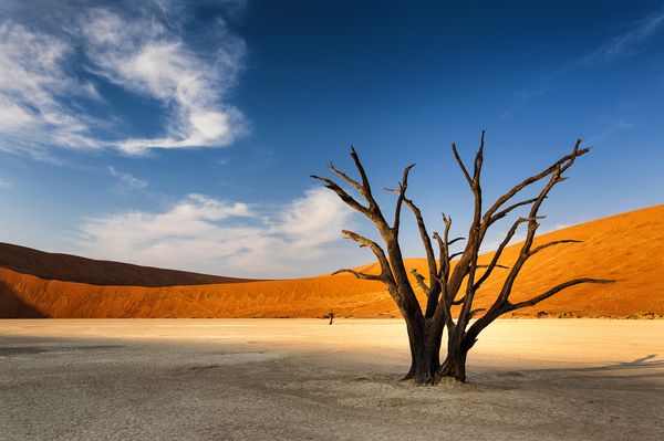 Splendeurs de Namibie 11J/08N  - 2024