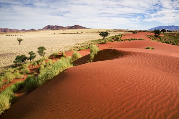 Splendeurs de Namibie & extension Fish River Canyon 14J/11N - 2024