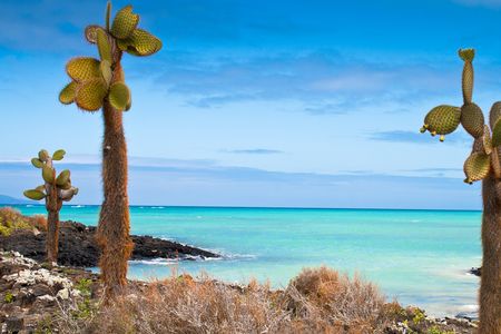 Splendeurs de l'Equateur & Extension Galapagos Terrestre 15J/13N - 2025