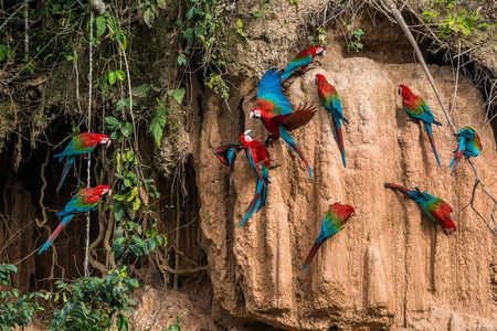 Explorations du Pérou & extension Amazonie - Spécial Fête « Inti Raymi » 18J/16N - 2025