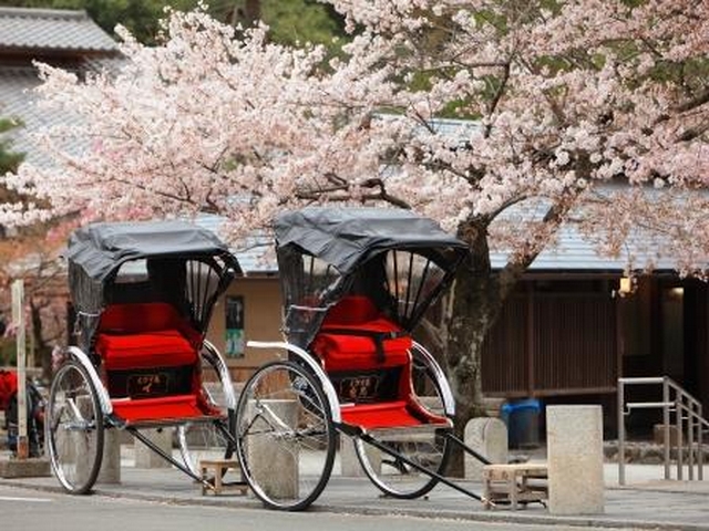 Splendeurs du Japon 11J/8N - 2025