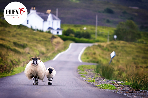 Splendeurs de l'Ecosse 8J/7N - 2025