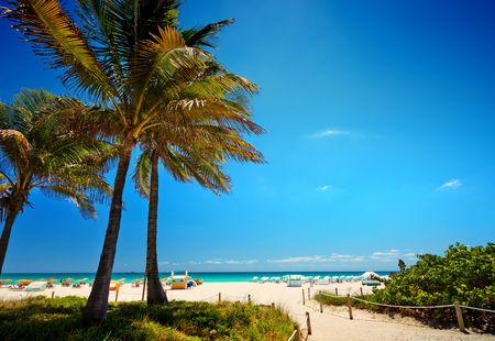 Splendeurs de Floride & Extension Miami Beach 12J/10N – 2025