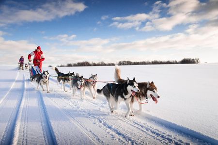 Splendeurs de l’Hiver Canadien 9J/7N – 2024/2025