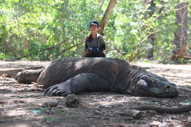 Splendeurs de Bali & Komodo 12J/9N – 2025