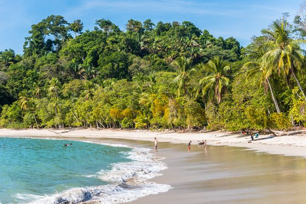 Immersion au Costa Rica & Région de Manuel Antonio / Pacifique Central 15J/13N – 2025