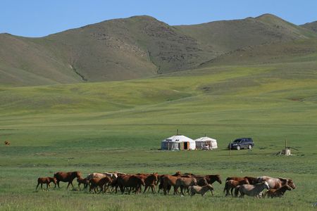 Immersion en Mongolie 10J/7N – 2025