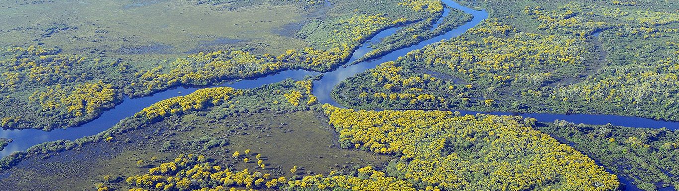 Pixabay_pantanal-5379257_1920