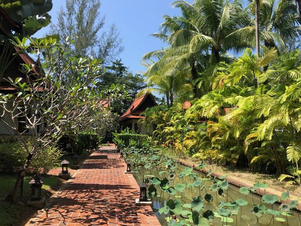 Hôtel Khao Lak Bhandari Resort & Spa 4*