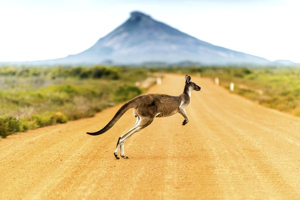 Splendeurs d’Australie 14J/10N – 2025/2026