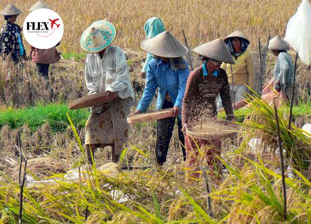 Immersion à Bali variante Seminyak 18J/15N – 2025