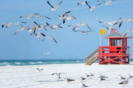 Splendeurs de Floride & Extension Miami Beach 12J/10N – 2025