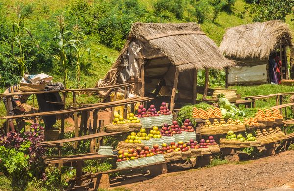 Splendeurs de Madagascar 14J/11N – 2025