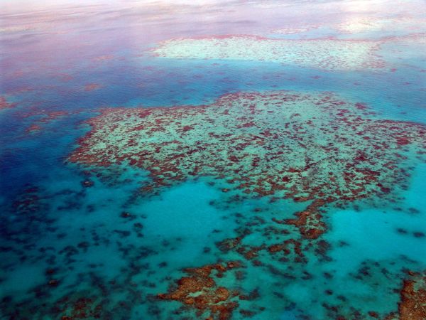 Splendeurs d’Australie & Extension Cairns 17J/13N – 2025/2026