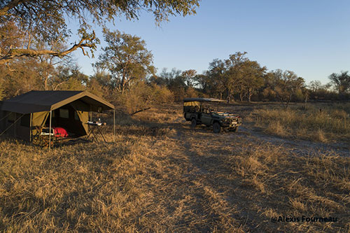 Immersion au Botswana 11J/8N – 2025