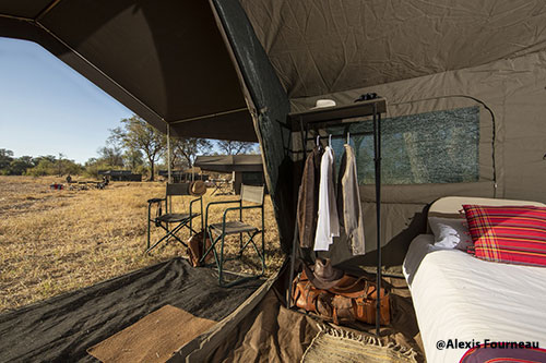 Immersion au Botswana 11J/8N – 2025