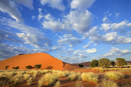 Splendeurs de Namibie en rendez-vous sur place 09J/08N  – 2025