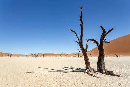 Splendeurs de Namibie en rendez-vous sur place 09J/08N  – 2025