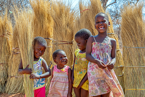 Immersion au Botswana & Extension Chutes Victoria 13J/10N – 2025