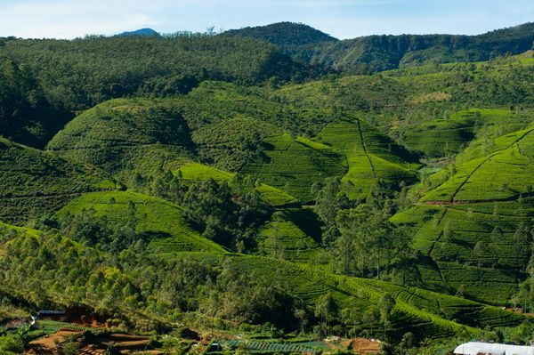 Merveilles du Sri Lanka 13J/10N – 2025/2026