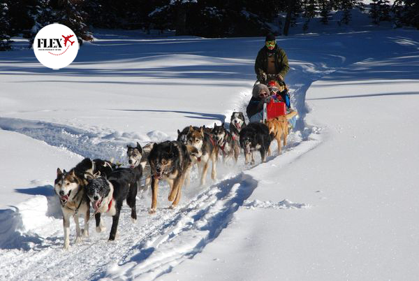 Splendeurs de l’Hiver au Québec 8J/6N – 2025/2026