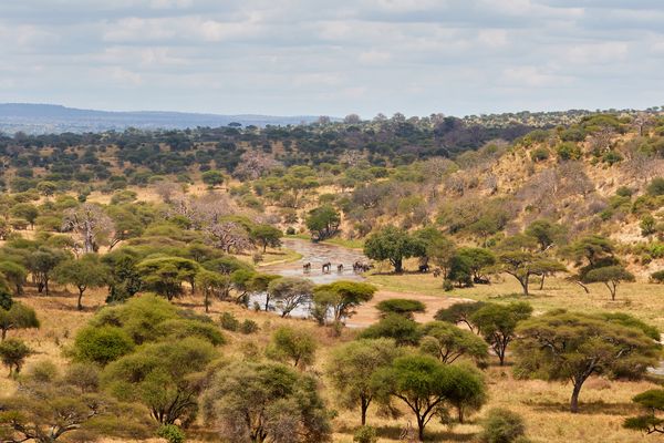 Merveilles de Tanzanie 10J/07N – 2026