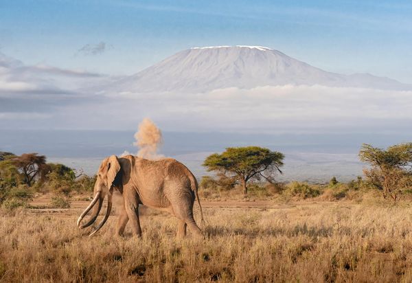 Splendeurs de Tanzanie & Zanzibar 10J/07N – 2026