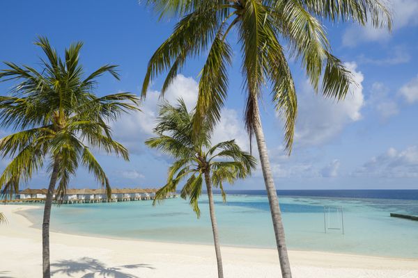 Hôtel Outrigger Maldives Maafushivaru Resort 5*
