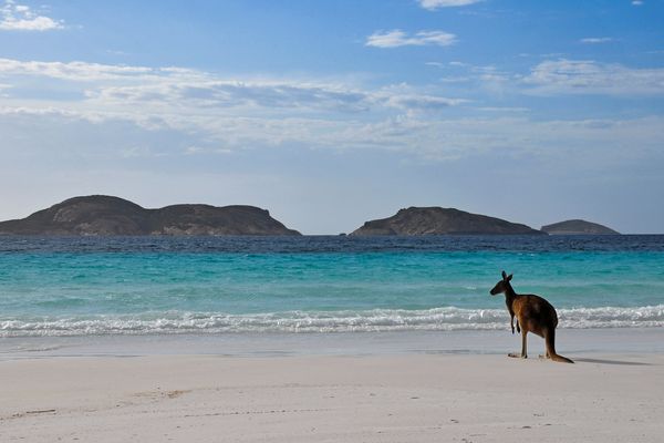 Splendeurs d’Australie & Extension Cairns 17J/13N – 2025/2026