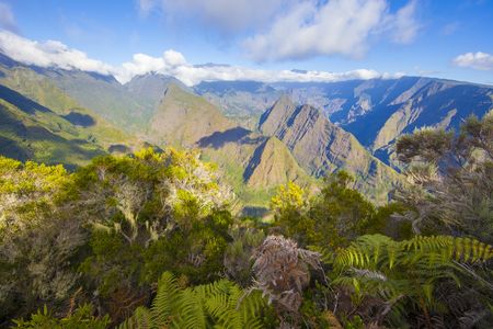 Immersion sur l’Ile de la Réunion 10J/07N – 2025